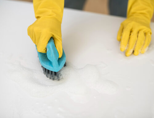 Stain Resistant Protectant and Spot Cleaning : Keep Your Carpets and Upholstery Looking Their Best