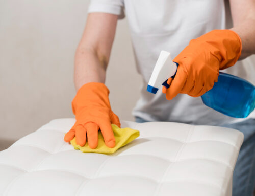 Carpet, Rug, and Upholstery Cleaning in Marin County: Why It Matters